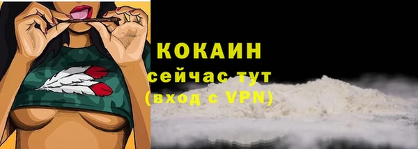 PSILOCYBIN Дмитровск