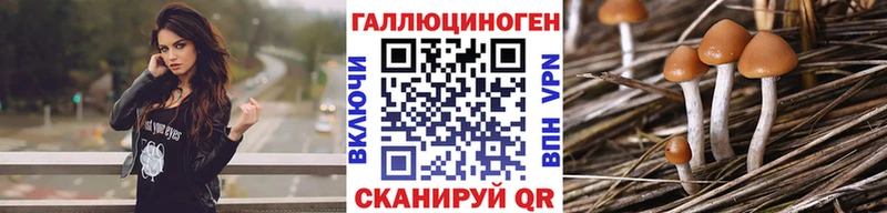 Псилоцибиновые грибы мухоморы  Купить где  Изобильный 